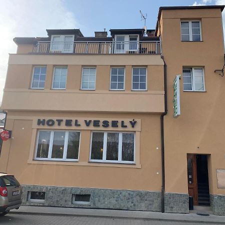 Penzion Vesely Zelezny Brod Buitenkant foto